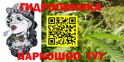 apvp Ирбит
