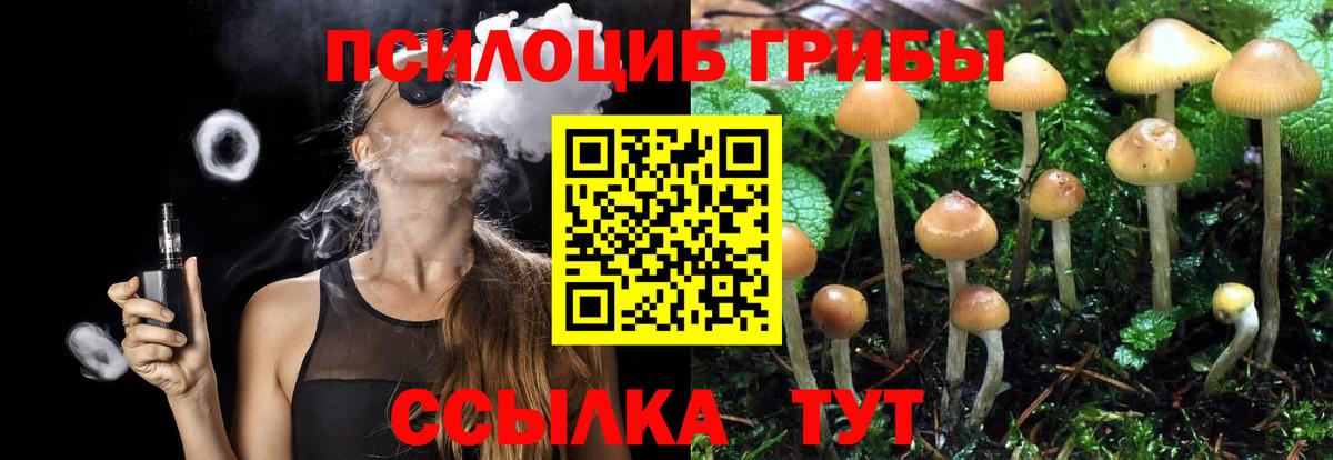 Галлюциногенные грибы мухоморы  Вход с VPN  Галлюциногенные грибы MAGIC MUSHROOMS  Кумертау 